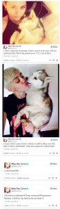 perrito miley