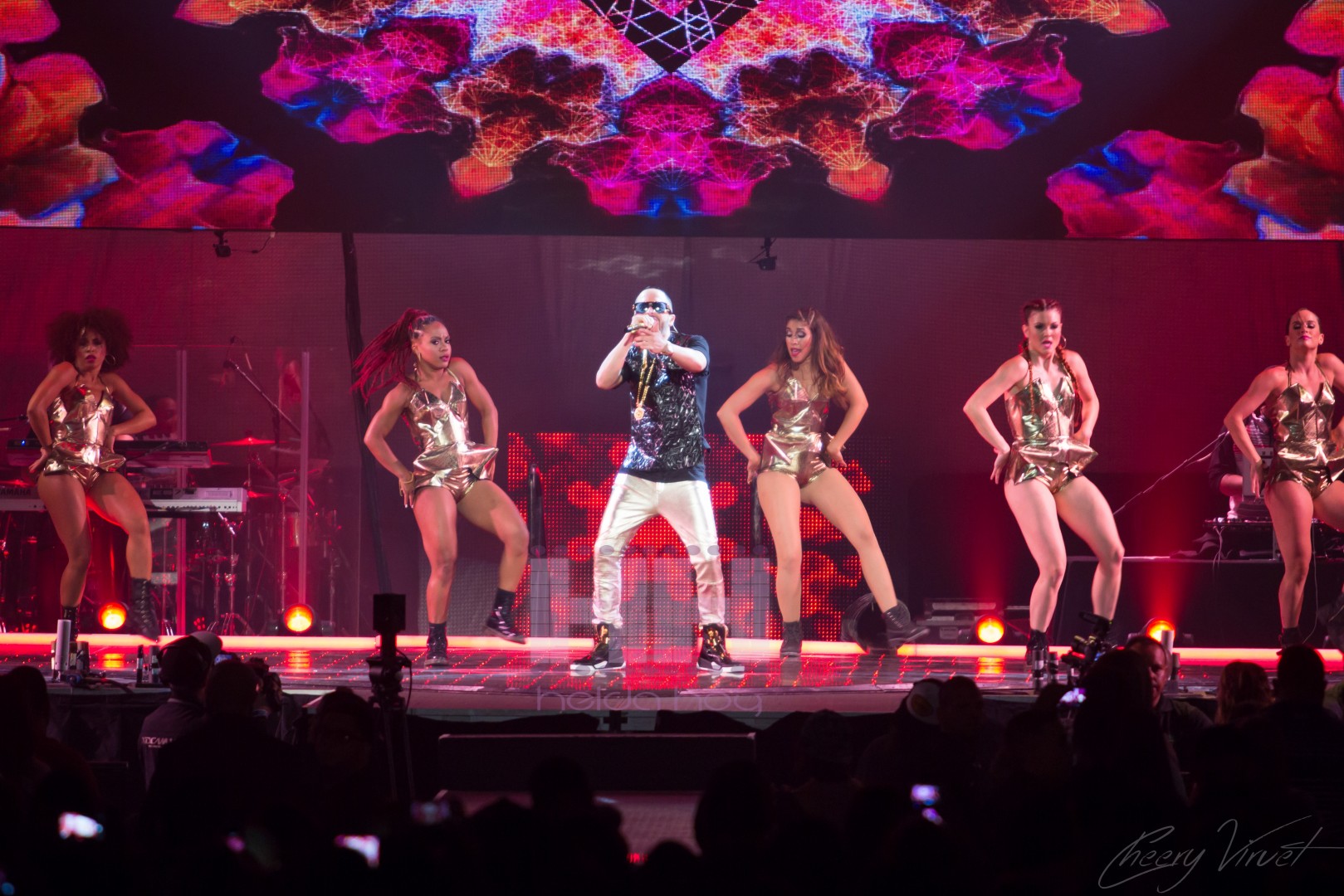 YANDEL SHOW 2 WA